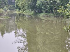 -桤木河湿地公园