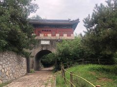 -云岗森林公园