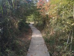 -塔川景区