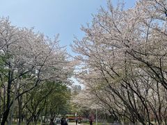 -白塘生态植物园