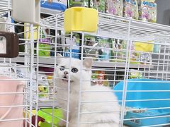 -宠爱我(南山店)