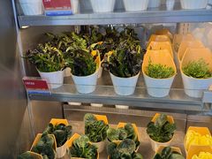 -海底捞大排档火锅(打浦路店)