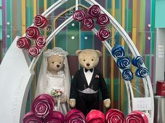 -成都泰迪熊博物馆