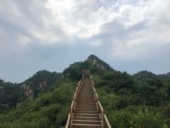 -大岭沟猕猴桃谷风景区