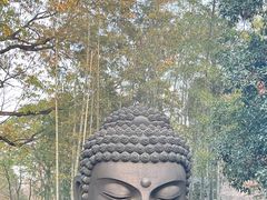 -杭州植物园