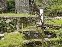 -MOJ coffee(瓯海泽雅水碓坑店)