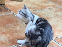 -贵州私房菜(万达天玺小区店)