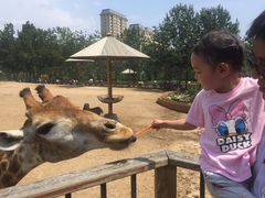 -大连森林动物园