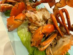 -佳丽海鲜大酒楼(环岛海景店)