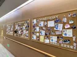 -上海首尔丽格医疗美容医院