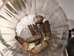 -星伦多自助料理·涮烤一体(嘉兴八佰伴店)