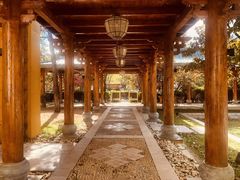 -阿姨家厨(香格里拉大酒店)