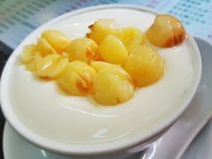 莲子双皮奶-义顺牛奶公司(新马路老店)