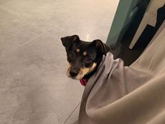 -南堂馆·新川菜(春熙路店)