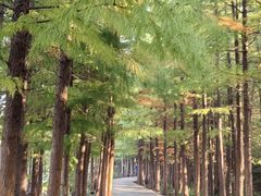 -云龙湖旅游景区