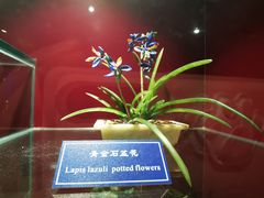 -中国地质大学逸夫博物馆