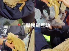 -上海大自然野生昆虫馆(东方明珠·爬宠昆虫探索中心)