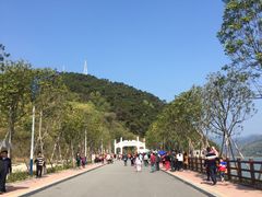 -羚羊峡古栈道森林公园