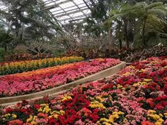 -南山植物园