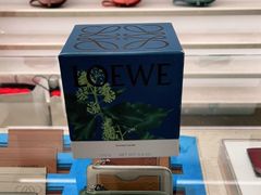 -LOEWE罗意威(万象城店)