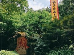 -杭州黄龙洞