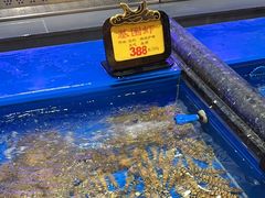 -万宝海鲜舫(劳动公园店)