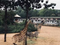 -大连森林动物园