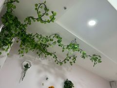 -上海交通大学医学院附属仁济医院(南院)