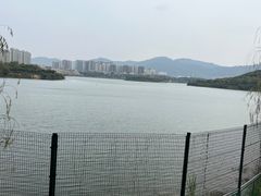 -立新湖公园