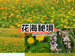 -海珠湖公园