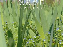 -陕西省西安植物园