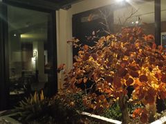 -漪龙台·B26 Rooftop Lounge