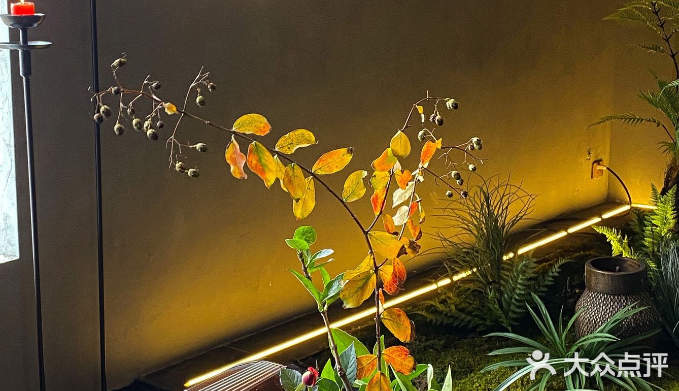 这才是合肥私房菜天花板！请客选这被夸一年 