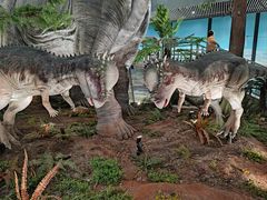 -湖南省地质博物馆