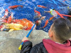 -鸿通城购物中心