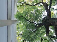 -湖北美术学院(昙华林校区)