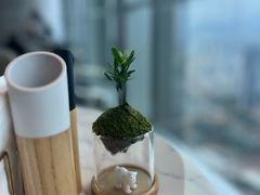-星璞全日餐厅·高空自助餐(深铁铂尔曼酒店)