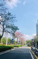 -无界瑜伽普拉提