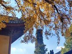 -上海青龙寺