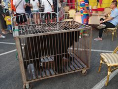 -热高乐园巴厘岛水世界