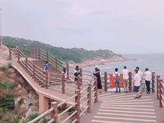 -广东惠东海龟国家级自然保护区