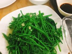 -力力豆花庄(广渠门店)