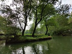 -西溪国家湿地公园