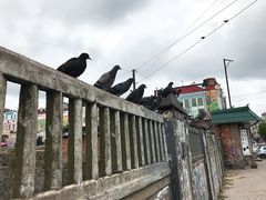 -符拉迪沃斯托克火车站