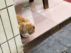 -朱儿面庄(洋河三路店)