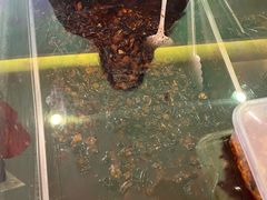-鸿运兔·手撕烤兔(天府广场店)