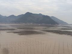 -北岐滩涂