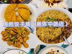 -陶然饺子城(奥体中路店)