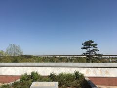 -苏氏牛肉面(丰北桥店)