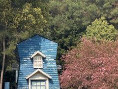 -铁山坪森林公园